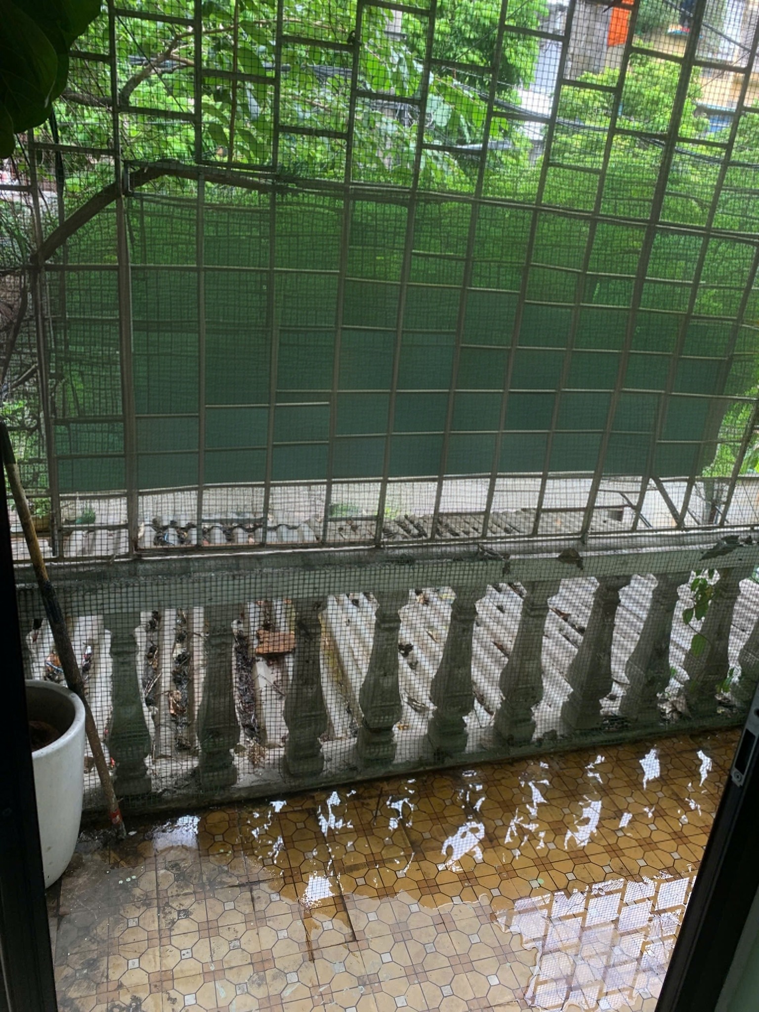 Cho thuê căn hộ Tập thể tầng 2 Thái Thịnh, 65m2, 2 ngủ, 7 Triệu - Ảnh 3